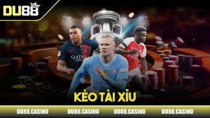 Ảnh đại diện kèo tài xỉu